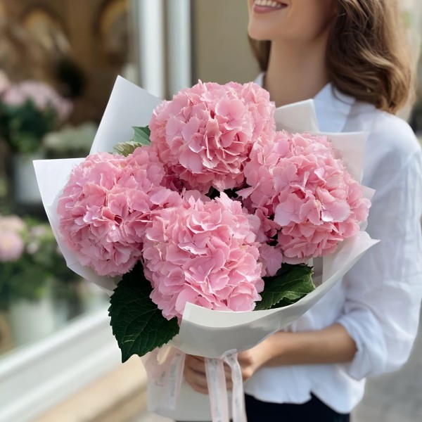 5 розовых гортензий