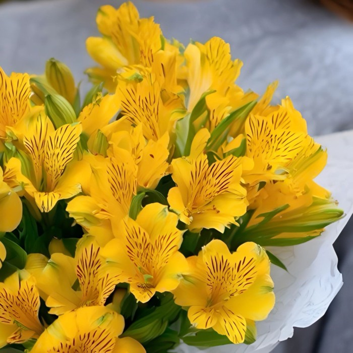 Букет 5 желтых альстромерий Букет 5 желтых альстромерий