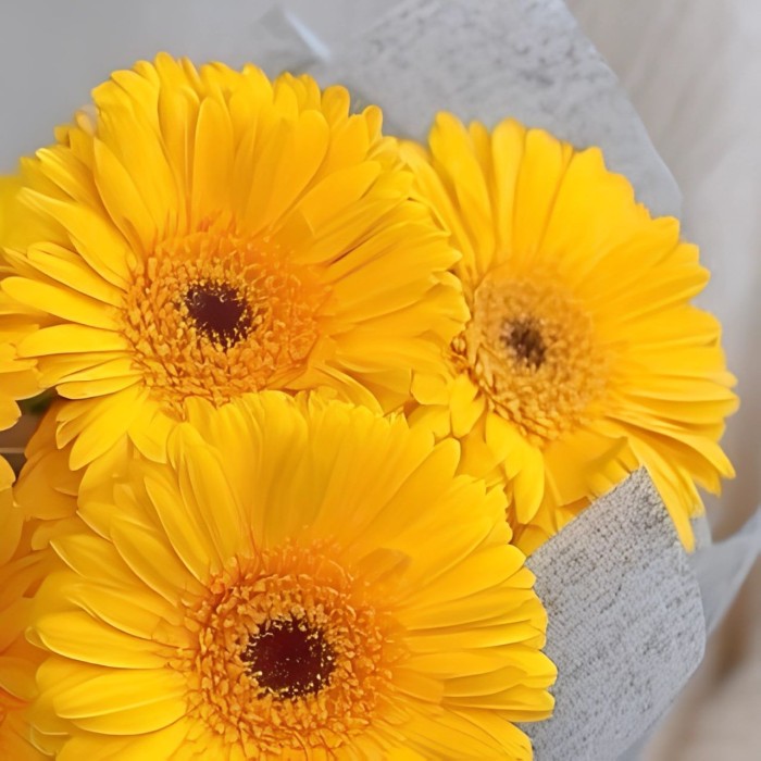 Букет 5 желтых гербер Букет 5 желтых гербер