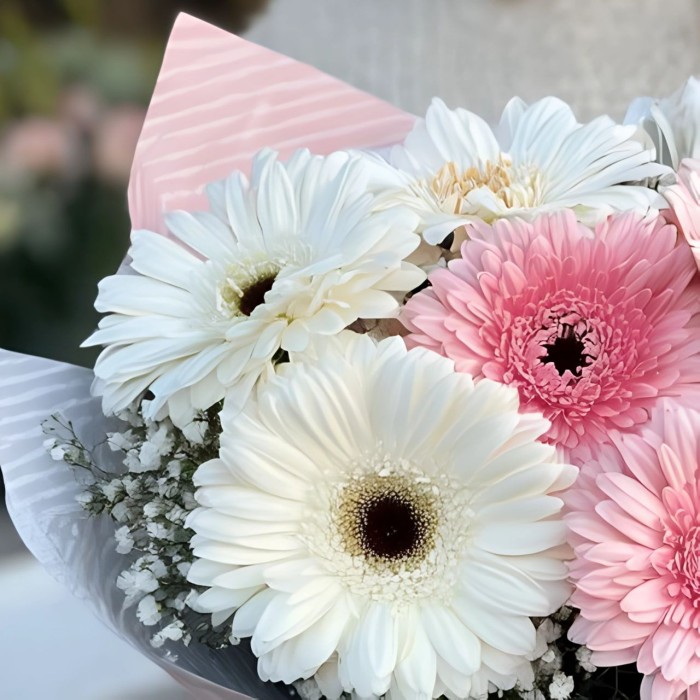 Букет 7 бело-розовых гербер Букет 7 бело-розовых гербер