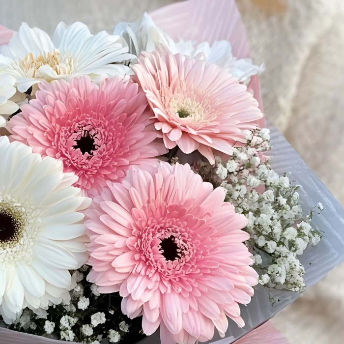 Букет 7 бело-розовых гербер Букет 7 бело-розовых гербер