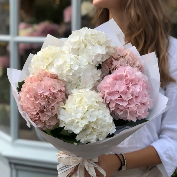 7 бело-розовых гортензий