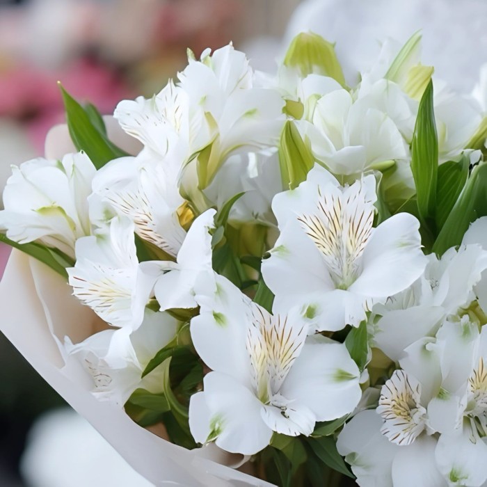 Букет 7 белых альстромерий Букет 7 белых альстромерий