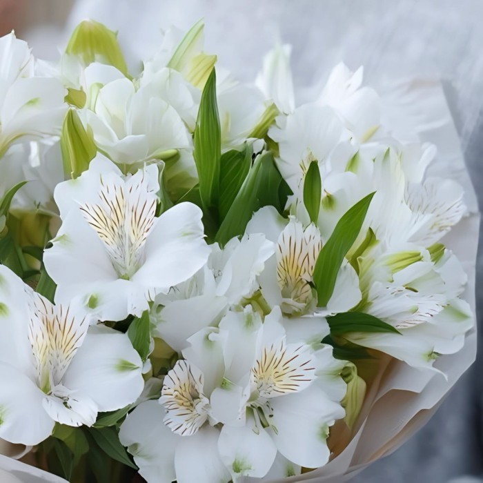 Букет 7 белых альстромерий Букет 7 белых альстромерий