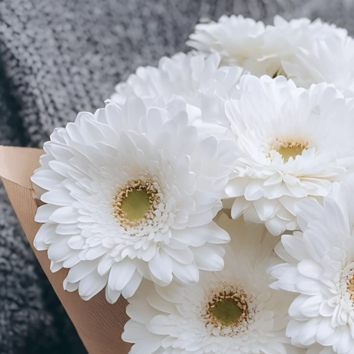 Букет 7 белых гербер Букет 7 белых гербер