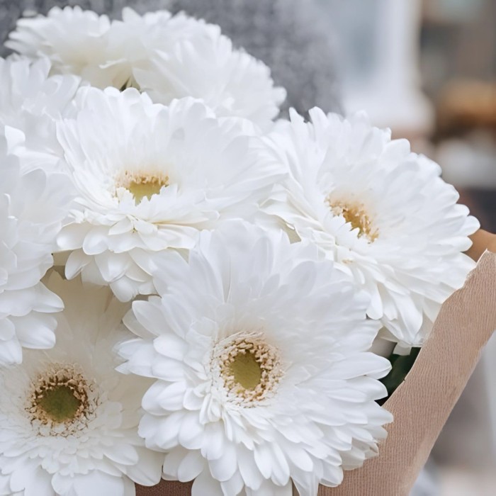 Букет 7 белых гербер Букет 7 белых гербер