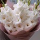 Букет 7 белых гладиолусов
