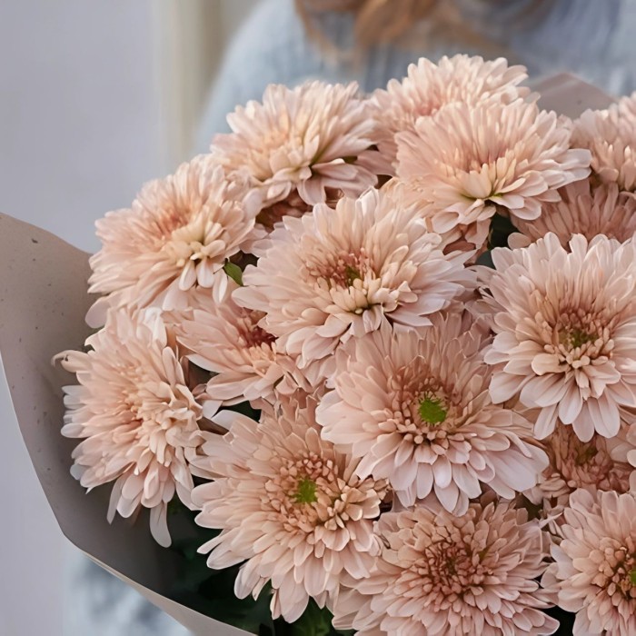 Букет 7 бежевых кустовых хризантем Букет 7 бежевых кустовых хризантем