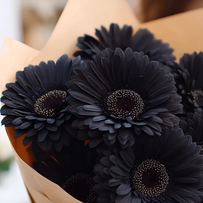 Букет 7 черных гербер Букет 7 черных гербер