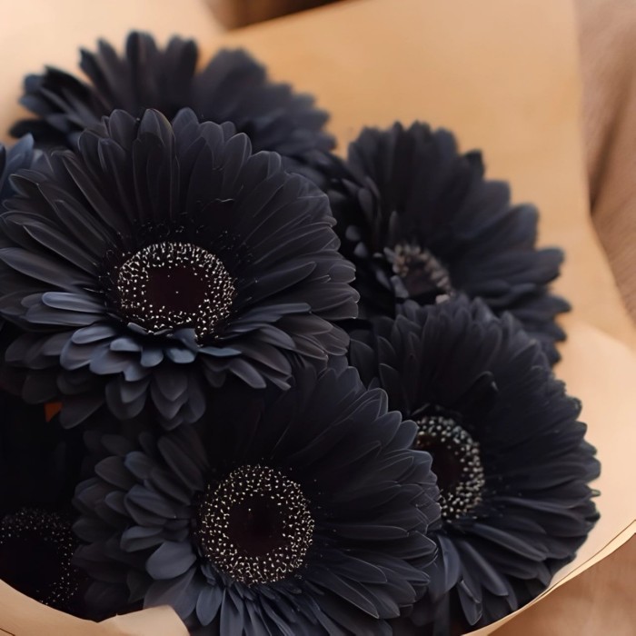 Букет 7 черных гербер Букет 7 черных гербер