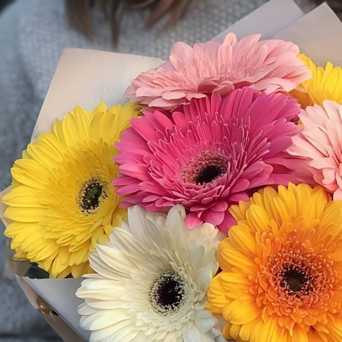 Букет 7 цветных гербер Букет 7 цветных гербер