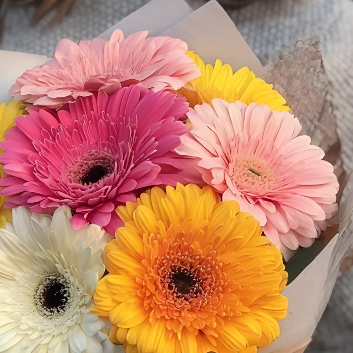 Букет 7 цветных гербер Букет 7 цветных гербер