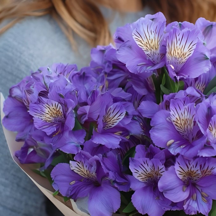 Букет 7 фиолетовых альстромерий Букет 7 фиолетовых альстромерий