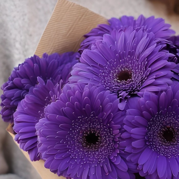 Букет 7 фиолетовых гербер Букет 7 фиолетовых гербер