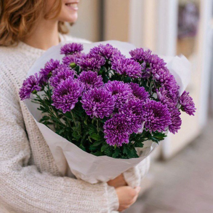 Букет 7 фиолетовых кустовых хризантем Букет 7 фиолетовых кустовых хризантем