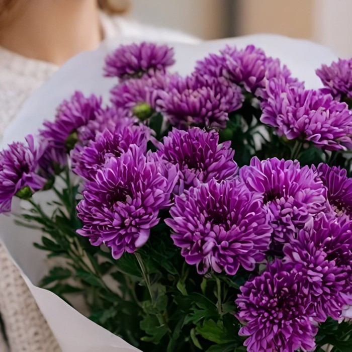 Букет 7 фиолетовых кустовых хризантем Букет 7 фиолетовых кустовых хризантем