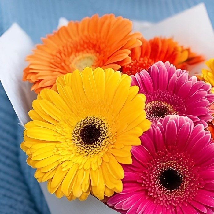 Букет 7 гербер в белом оформлении Букет 7 гербер в белом оформлении