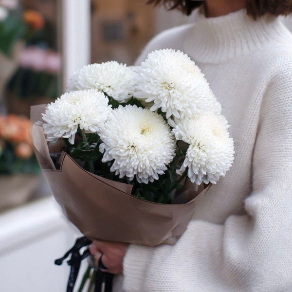 7 хризантем Помпон