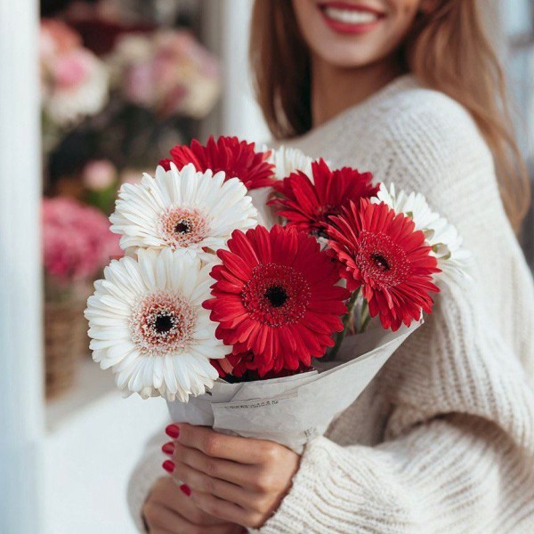 7 красно-белых гербер