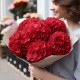 Букет 7 красных гортензий