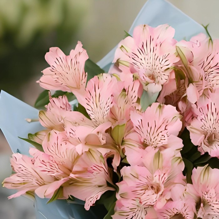 Букет 7 розовых альстромерий Букет 7 розовых альстромерий