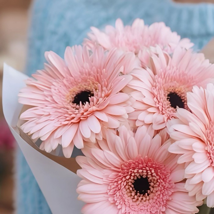 Букет 7 розовых гербер Букет 7 розовых гербер