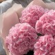 Букет 7 розовых гортензий