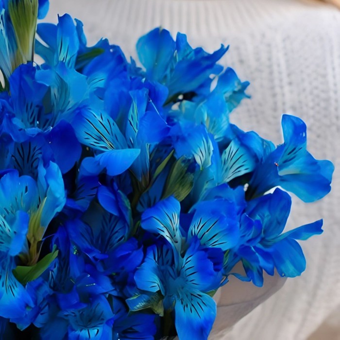Букет 7 синих альстромерий