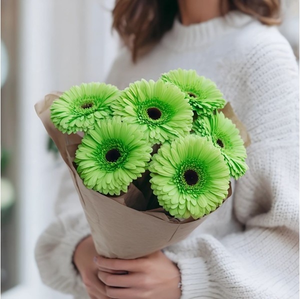 Букет 7 зеленых гербер