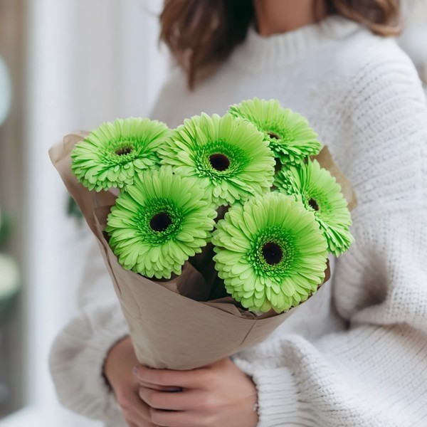 Букет 7 зеленых гербер Букет 7 зеленых гербер