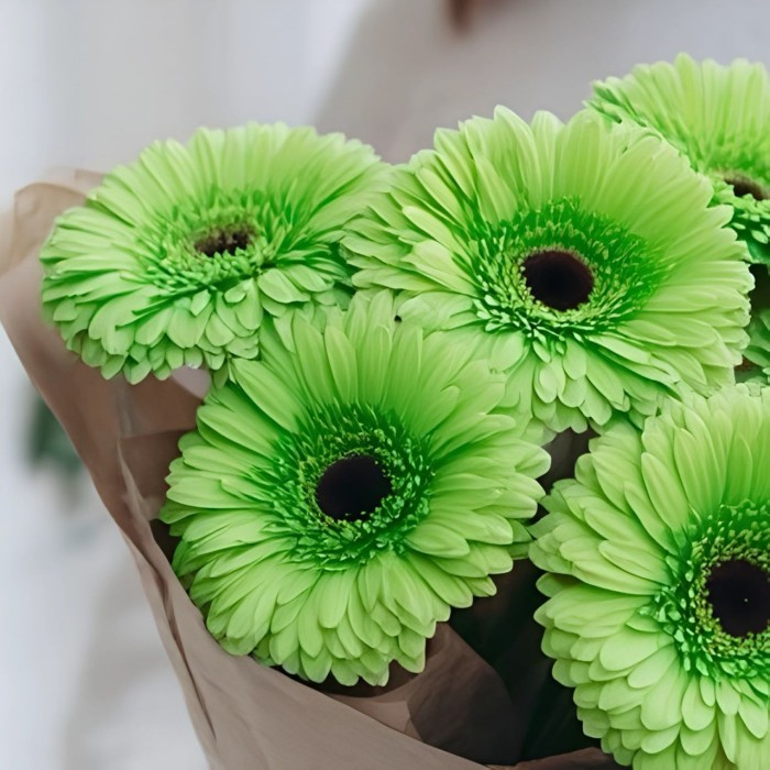 Букет 7 зеленых гербер Букет 7 зеленых гербер