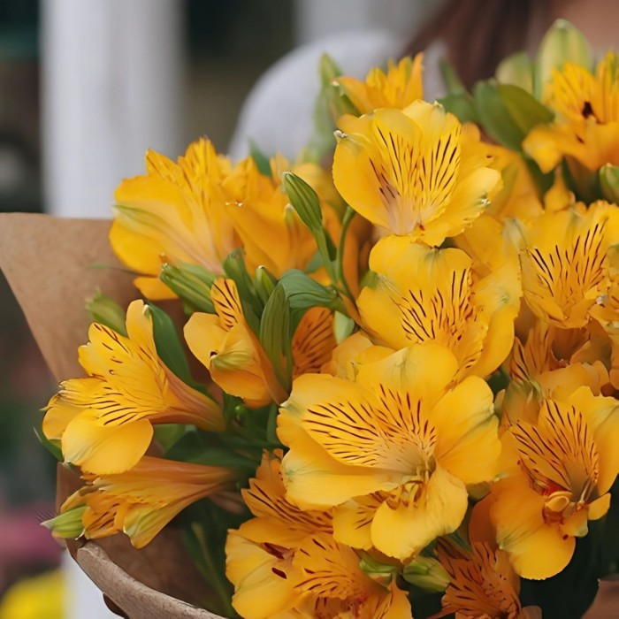 Букет 7 желтых альстромерий в упаковке Букет 7 желтых альстромерий в упаковке