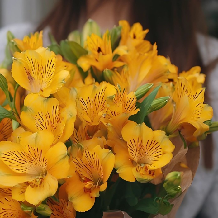 Букет 7 желтых альстромерий в упаковке Букет 7 желтых альстромерий в упаковке