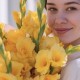 Букет 7 желтых гладиолусов