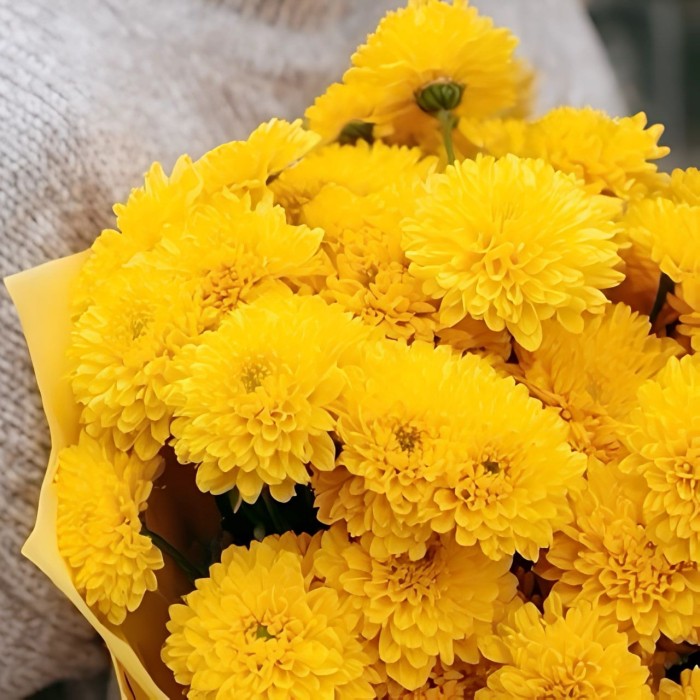 Букет 7 желтых хризантем Букет 7 желтых хризантем