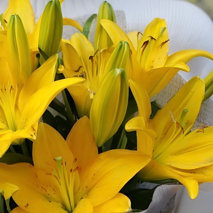 Букет 7 желтых лилий Букет 7 желтых лилий