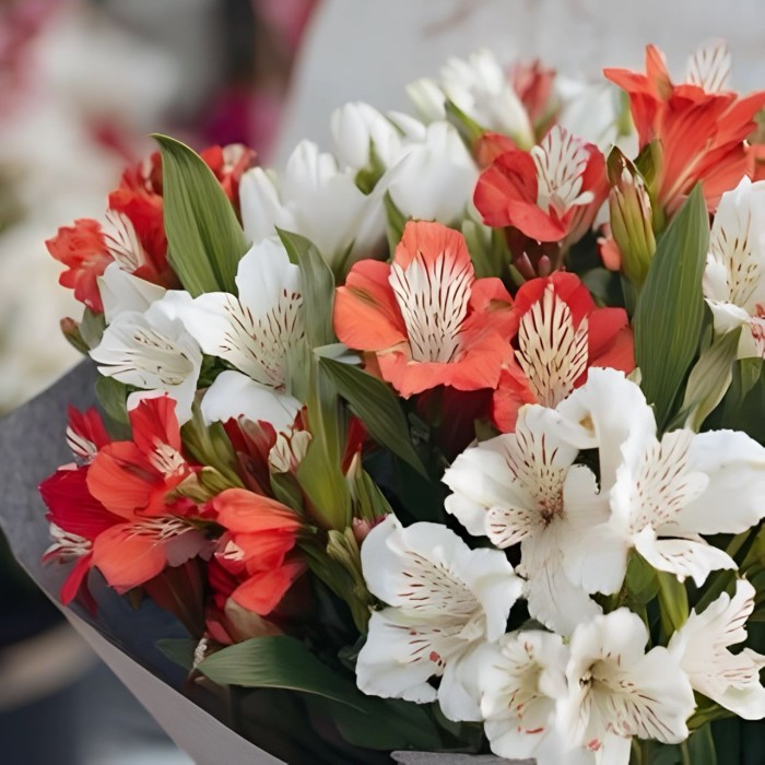 Букет 9 бело-красных альстромерий Букет 9 бело-красных альстромерий