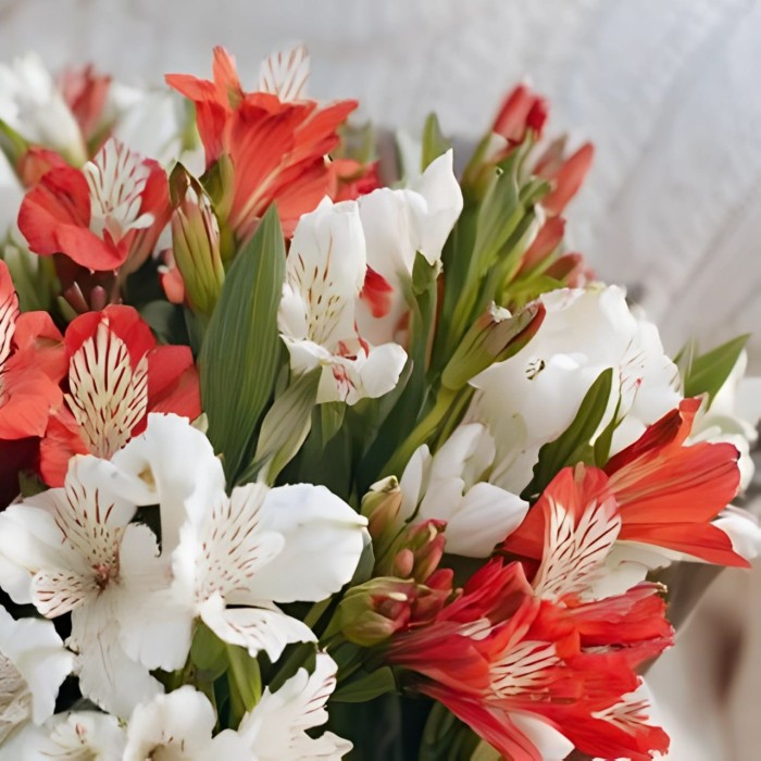Букет 9 бело-красных альстромерий Букет 9 бело-красных альстромерий