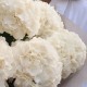 Букет 9 белых гортензий