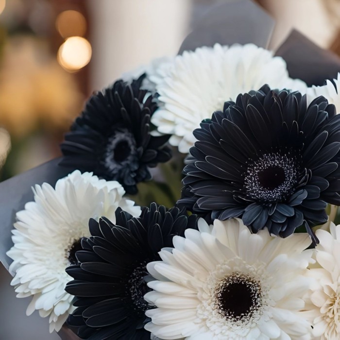 Букет 9 черно-белых гербер Букет 9 черно-белых гербер