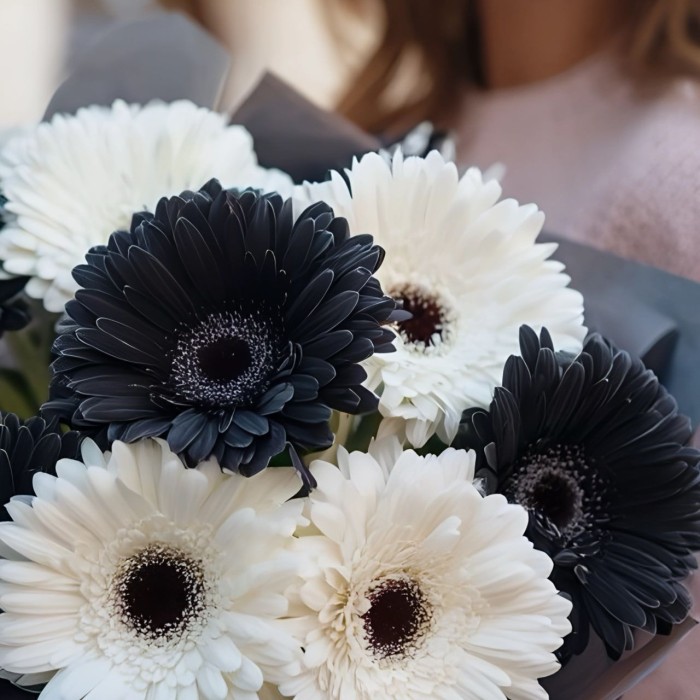 Букет 9 черно-белых гербер Букет 9 черно-белых гербер