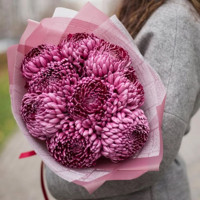 Букет 9 хризантем Бургунди Букет 9 хризантем Бургунди