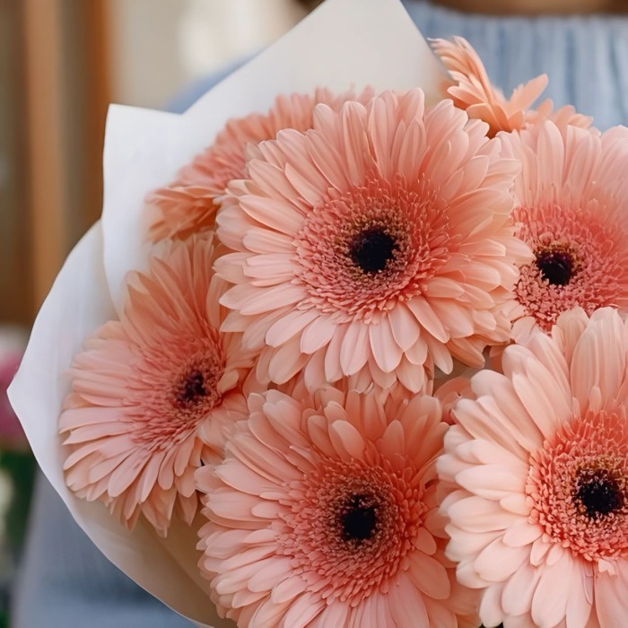 Букет 9 нежно-розовых гербер Букет 9 нежно-розовых гербер