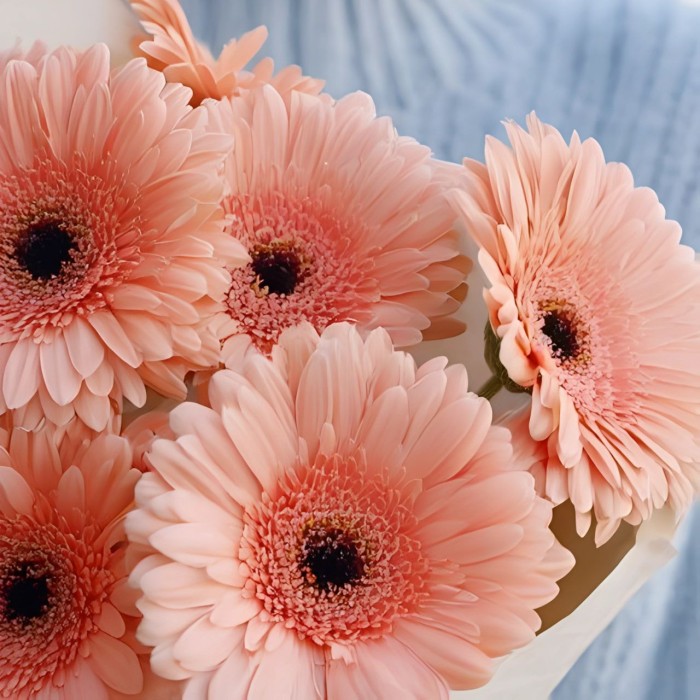 Букет 9 нежно-розовых гербер Букет 9 нежно-розовых гербер