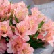 Букет 9 розовых альстромерий