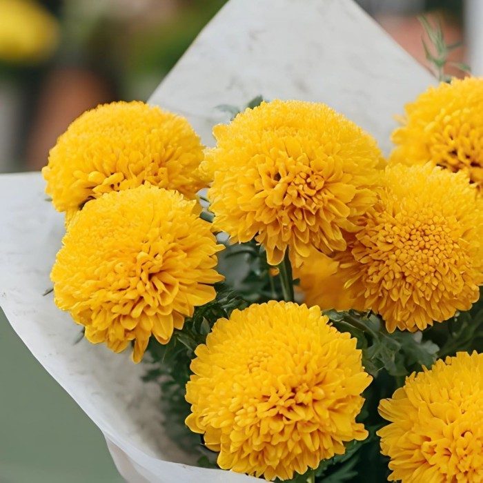 Букет 9 желтых шаровидных хризантем