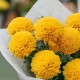 Букет 9 желтых шаровидных хризантем