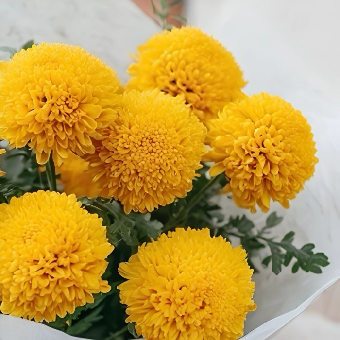 Букет 9 желтых шаровидных хризантем