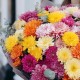 Большой букет хризантем