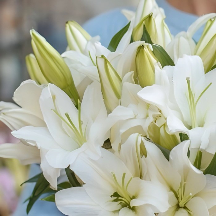 Букет из 9 лилий Букет из 9 лилий